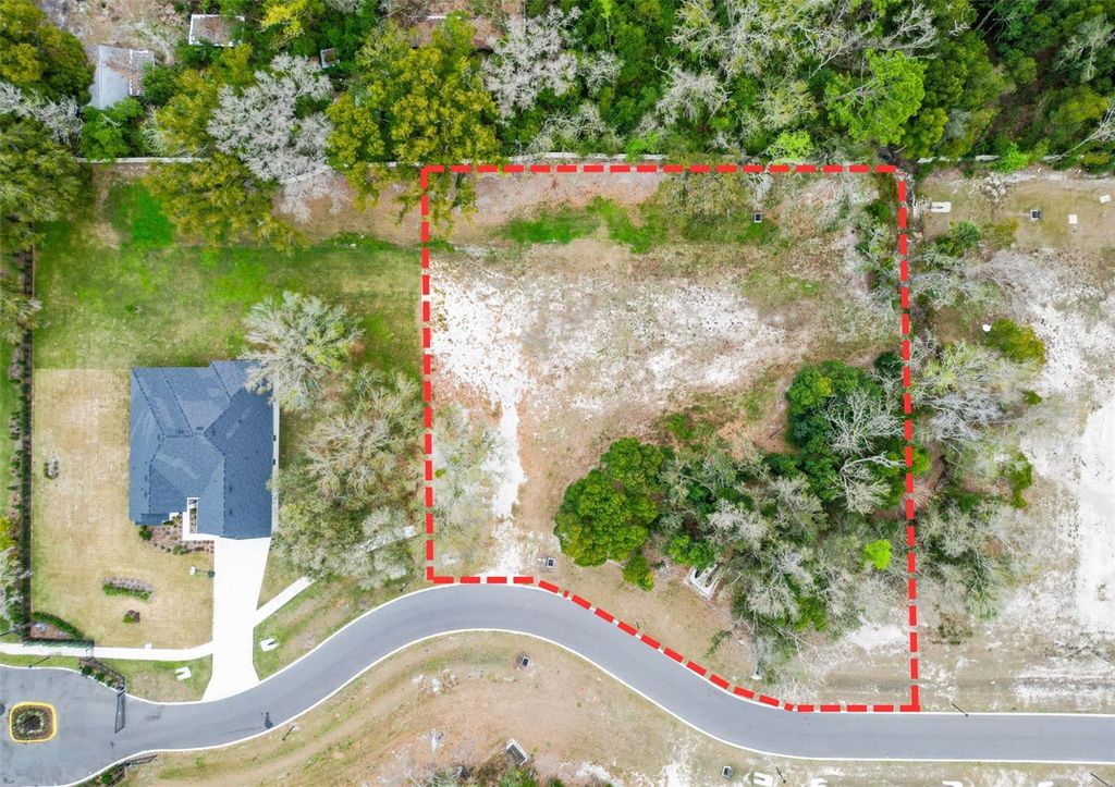 Photo of 18469 Purple Creek Lane, Lutz, FL 33549 (MLS # TB8480398)