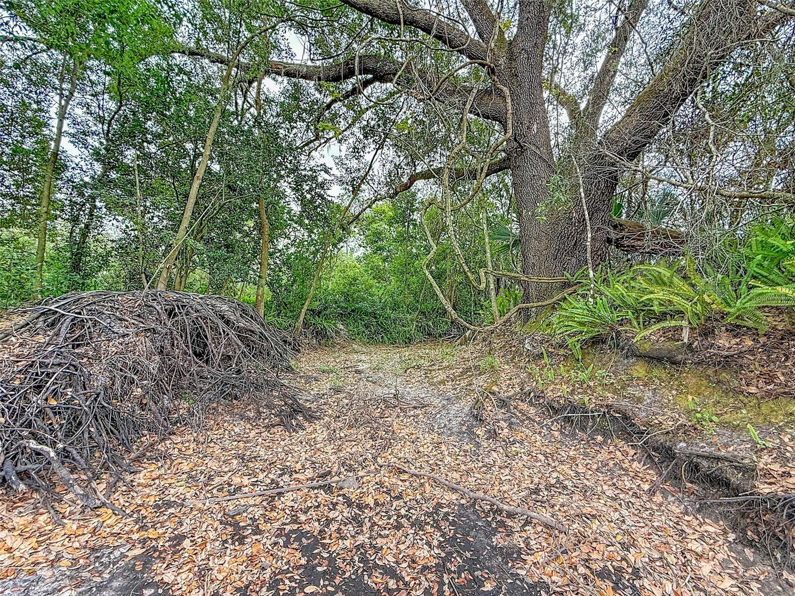 SUNSET ESTATES - Land