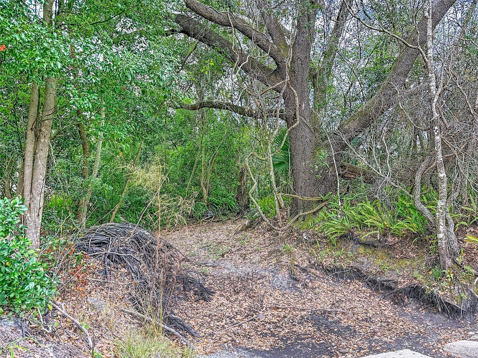 SUNSET ESTATES - Land