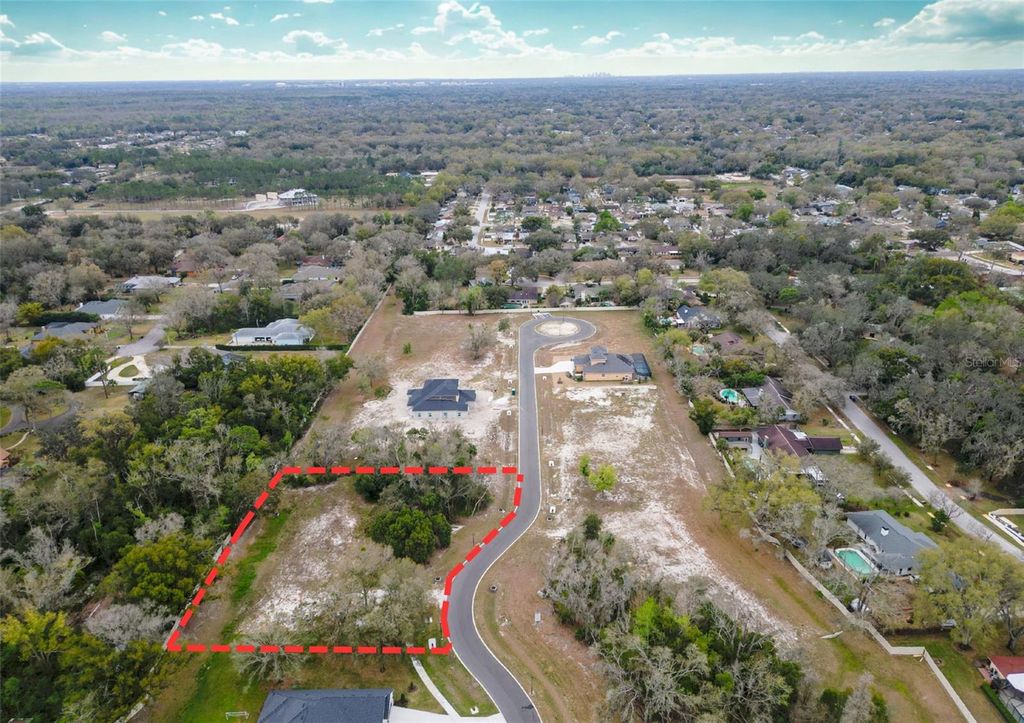 Photo of 18469 Purple Creek Lane, Lutz, FL 33549 (MLS # TB8480398)