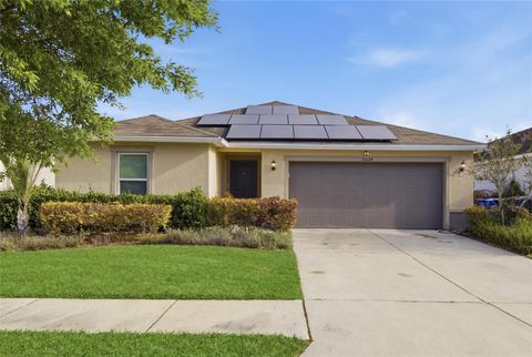 10624 MASSIMO DRIVE WIMAUMA FL 33598