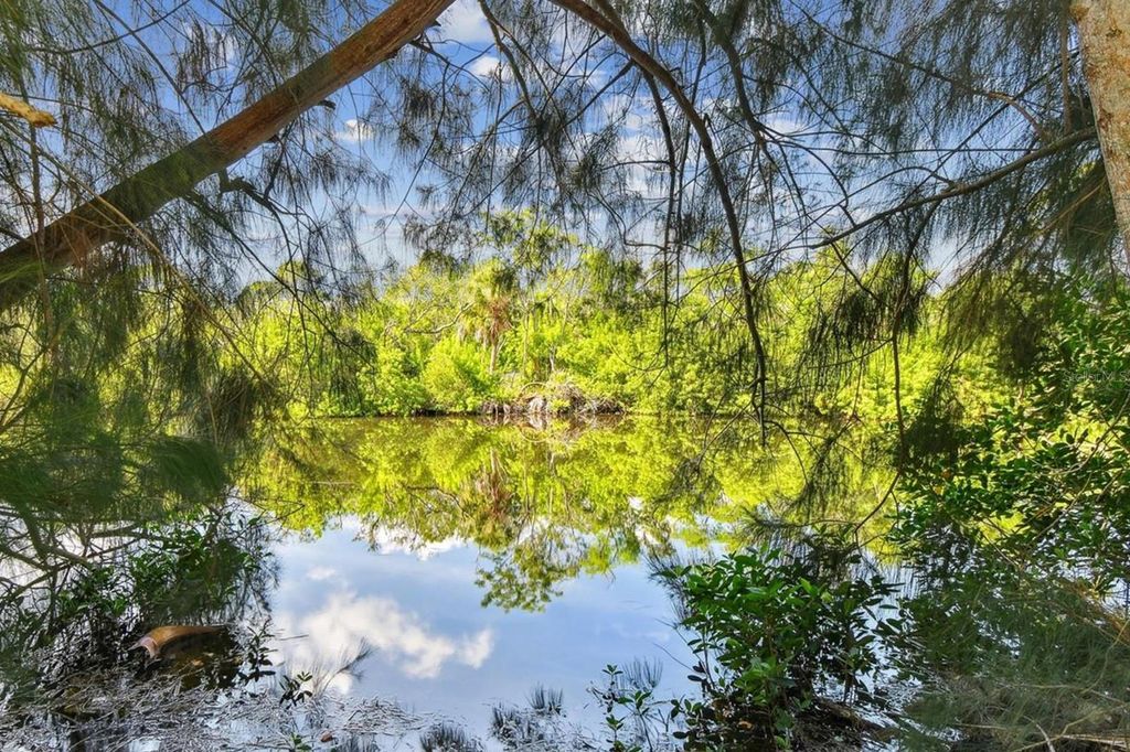 Photo of 5909 Mohr Road, Tampa, FL 33615 (MLS # TB8412300)