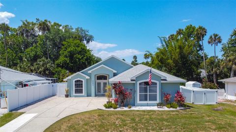 A home in NEW SMYRNA BEACH