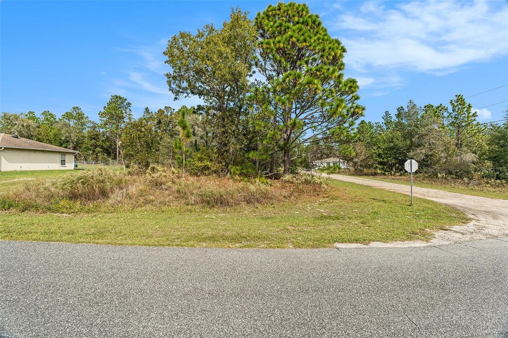 Photo of 1541 W Riley Drive, Dunnellon, FL 34434 (MLS # TB8443584)