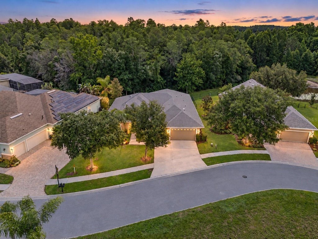 Photo of 14834 Man O War Drive, Odessa, FL 33556 (MLS # TB8523886)