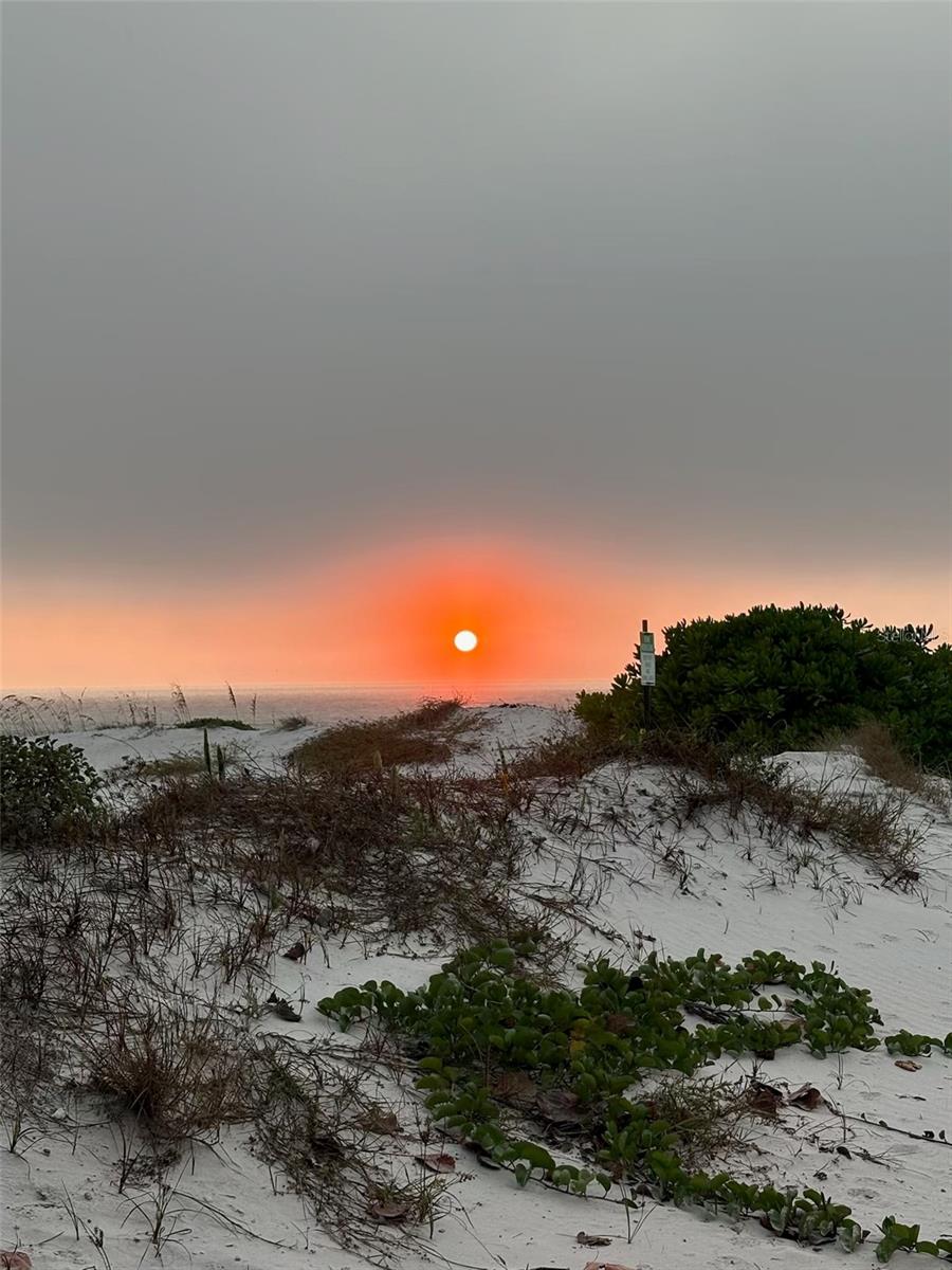 REGATTA BEACH CLUB CONDO - Residential