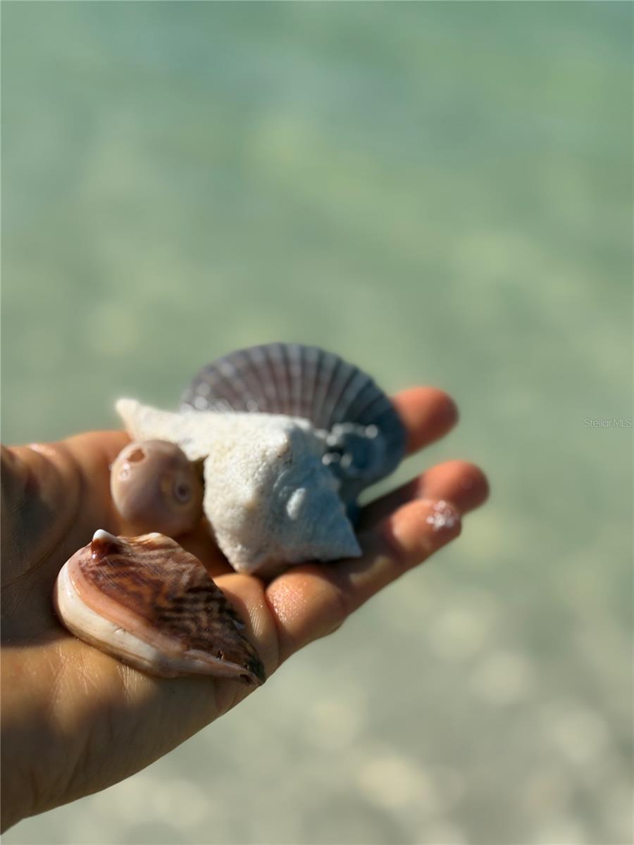 REGATTA BEACH CLUB CONDO - Residential