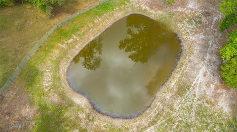 Tiny photo for 14671 W Highway 328, Ocala, FL 34482 (MLS # OM722082)