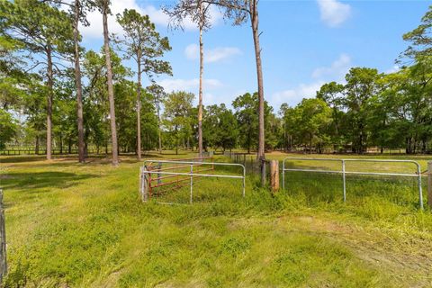 Tiny photo for 14671 W Highway 328, Ocala, FL 34482 (MLS # OM722082)