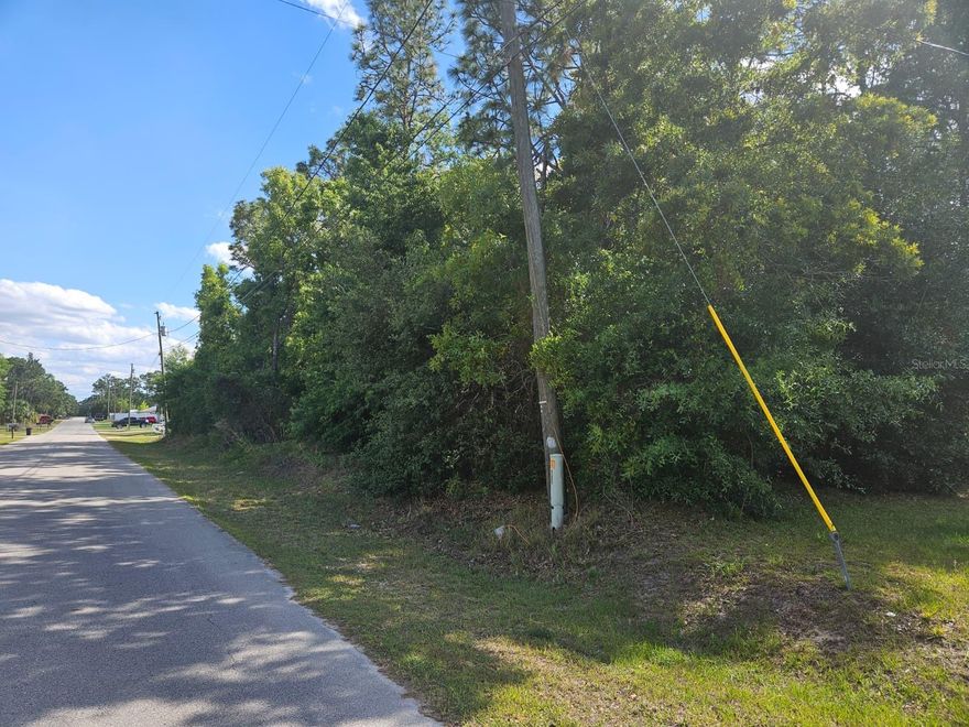 Build-ready opportunity in the growing Belleview area of Marion County. This vacant parcel offers an excellent combination of privacy, flexibility, and long-term potential for either a primary residence, seasonal home, or investment property. Located in a peaceful setting surrounded by Florida’s natural beauty, the property provides a quiet atmosphere while still maintaining convenient access to major roadways, shopping, dining, medical facilities, golf courses, and nearby outdoor recreational activities. The lot presents a great canvas for buyers looking to design and build according to their own vision. Area features a mix of established homes, new construction, and spacious surroundings that continue to attract both homeowners and investors seeking value and future growth in Marion County. Located in paved road and conveniently positioned within driving distance to The Villages, Ocala, Belleview, and surrounding Central Florida destinations. Buyer and buyer’s agent are encouraged to verify zoning, land use, utility availability, lot dimensions, building requirements, impact fees, and any future development plans with Marion County. Excellent opportunity for builders, investors, or end users looking to secure land in an expanding market with strong future upside.