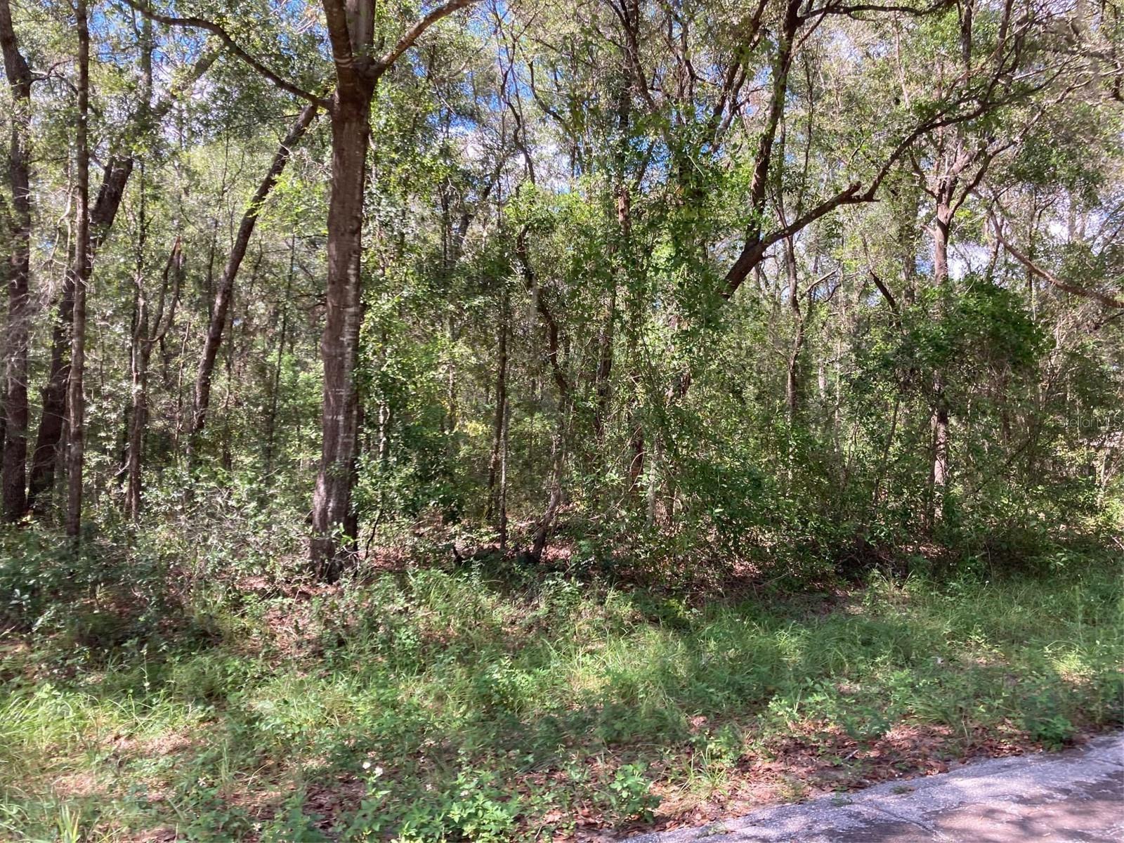 CITRUS SPGS UNIT 04 - Land