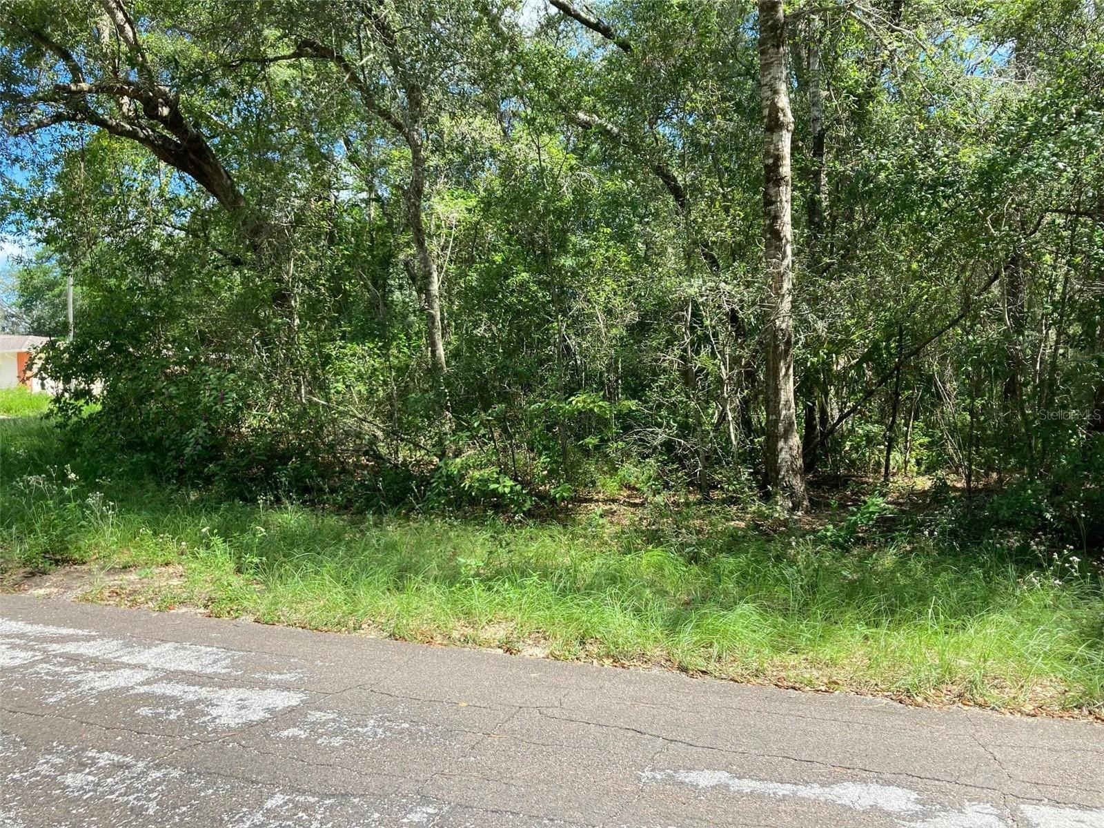 CITRUS SPGS UNIT 04 - Land