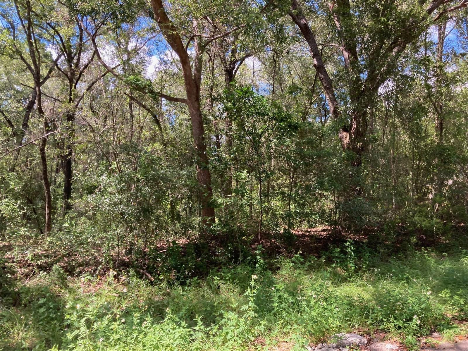 CITRUS SPGS UNIT 04 - Land