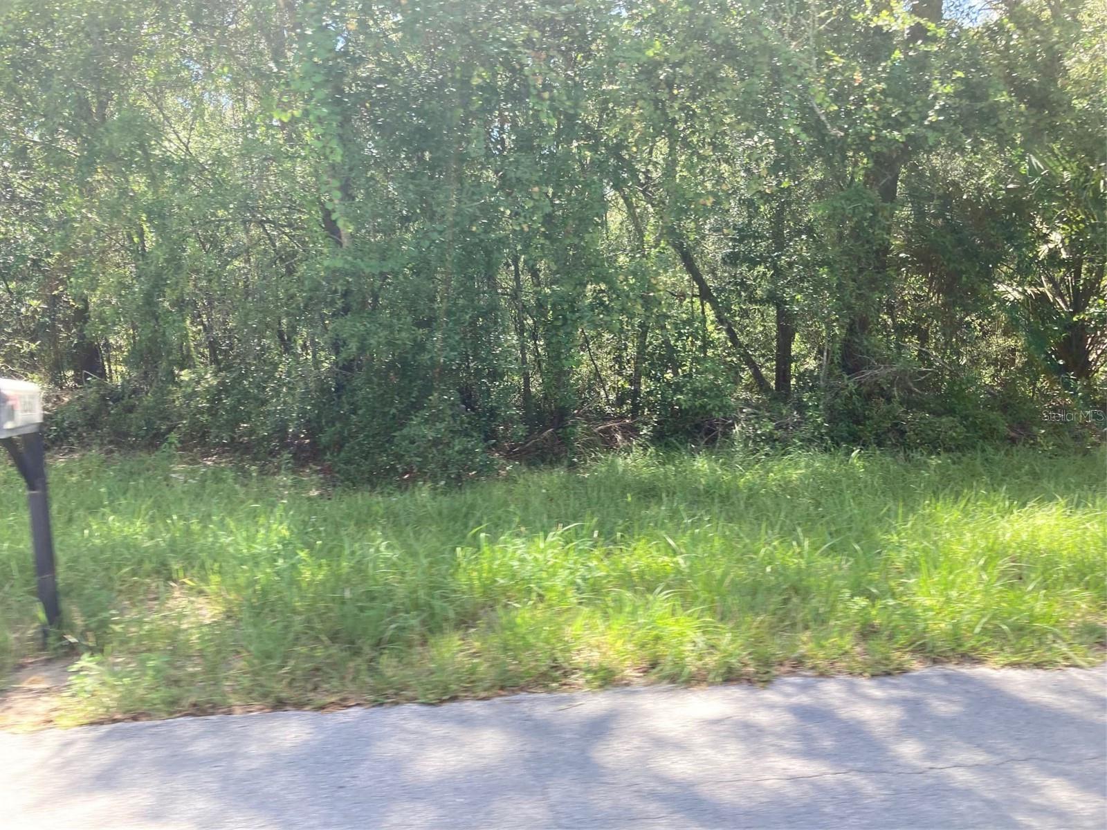 CITRUS SPGS UNIT 04 - Land