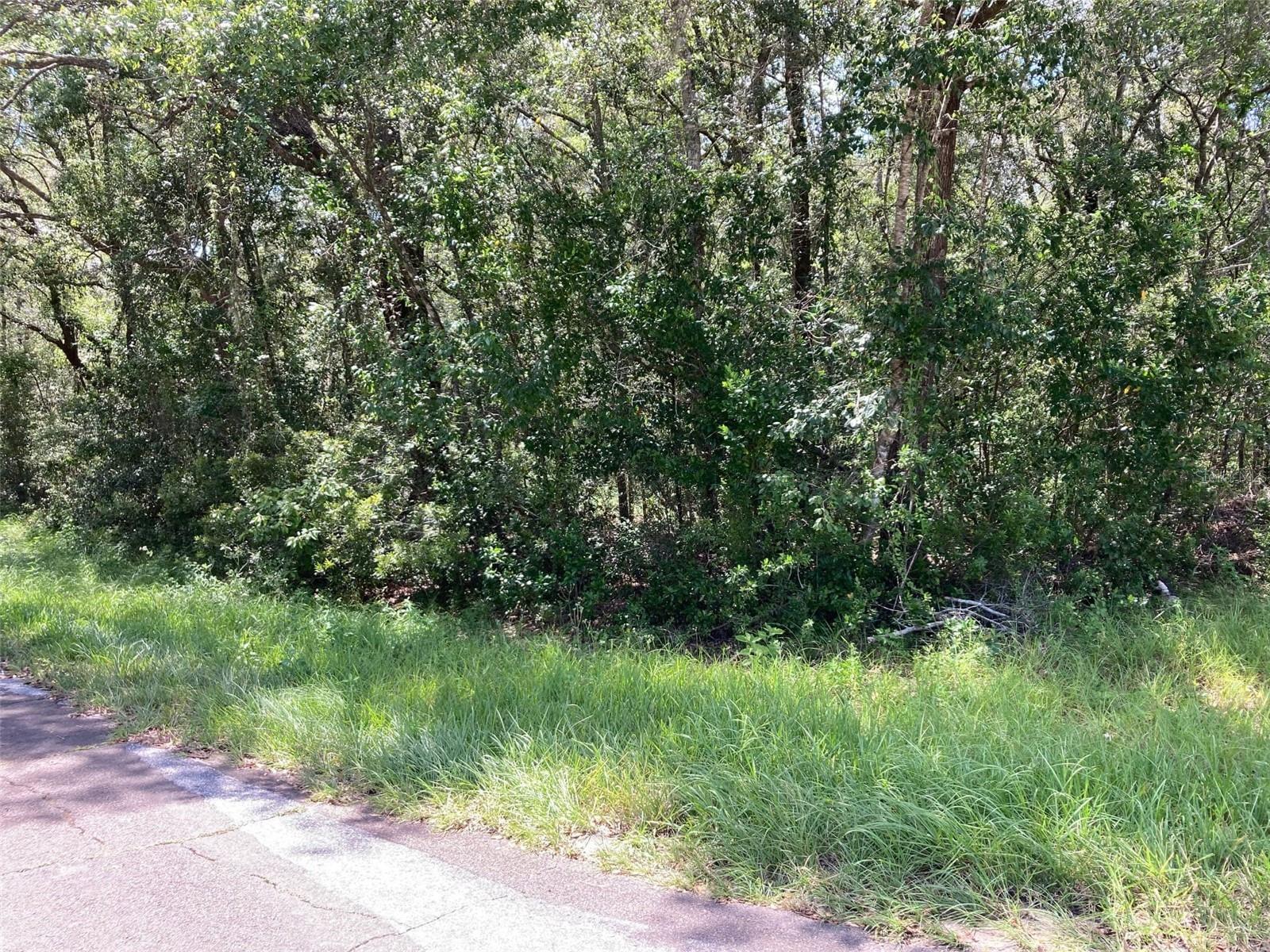 CITRUS SPGS UNIT 04 - Land