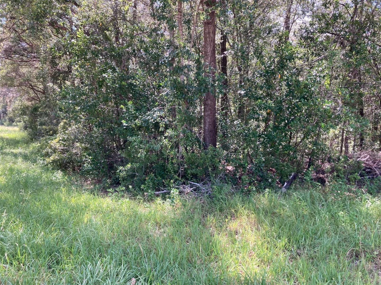 CITRUS SPGS UNIT 04 - Land