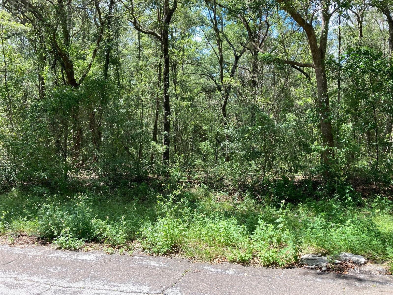 CITRUS SPGS UNIT 04 - Land