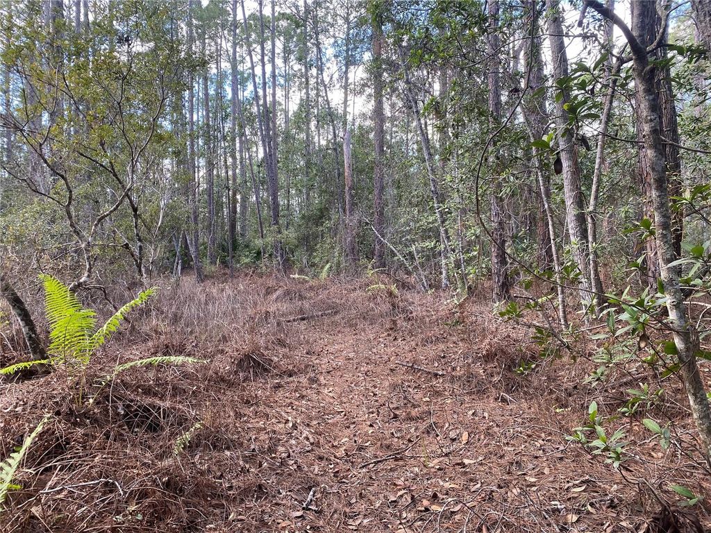 listing image 41