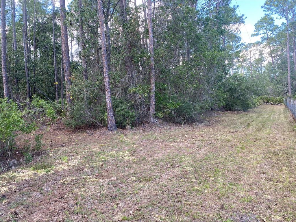 listing image 46