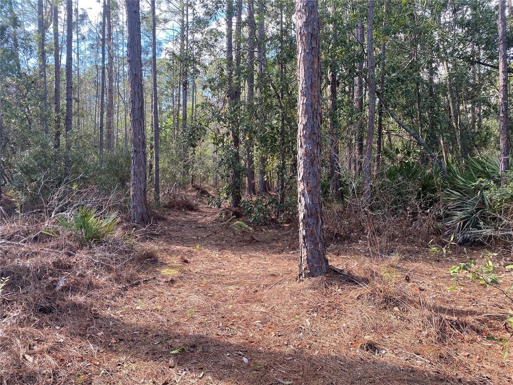 listing image 40