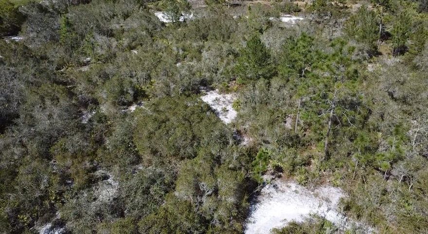 9.9 Acres vacant land, non flood zone, property is high and dry.