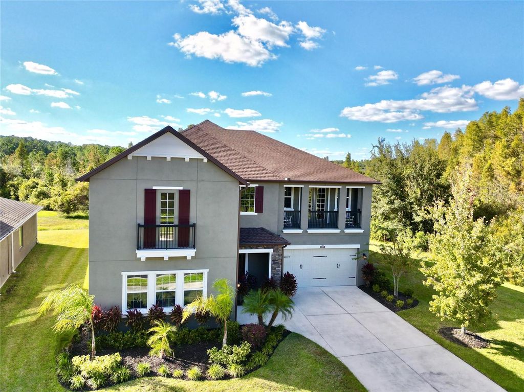 Photo of 1879 Whitewillow Drive, Wesley Chapel, FL 33543 (MLS # O6399021)