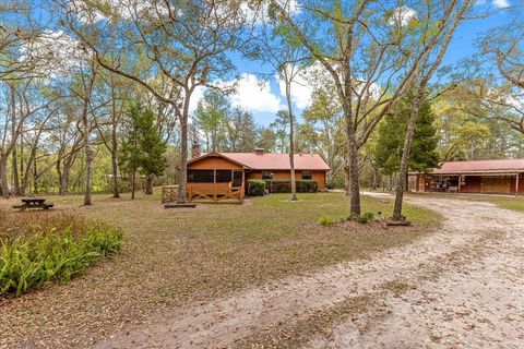 6750 NE 137TH PLACE CITRA FL 32113
