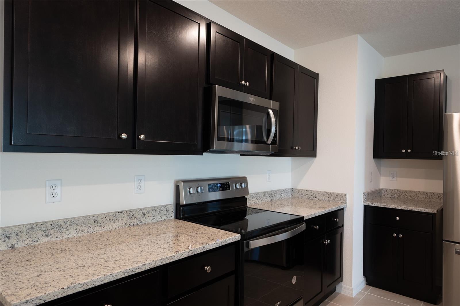 2464 RIBBON FALL AVENUE