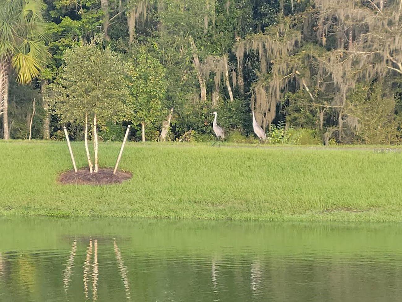 VILLAGES/SOUTHERN OAKS UN #128 - Residential