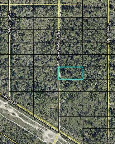 Photo of Underwood, Hastings, FL 32145 (MLS # FC320356)