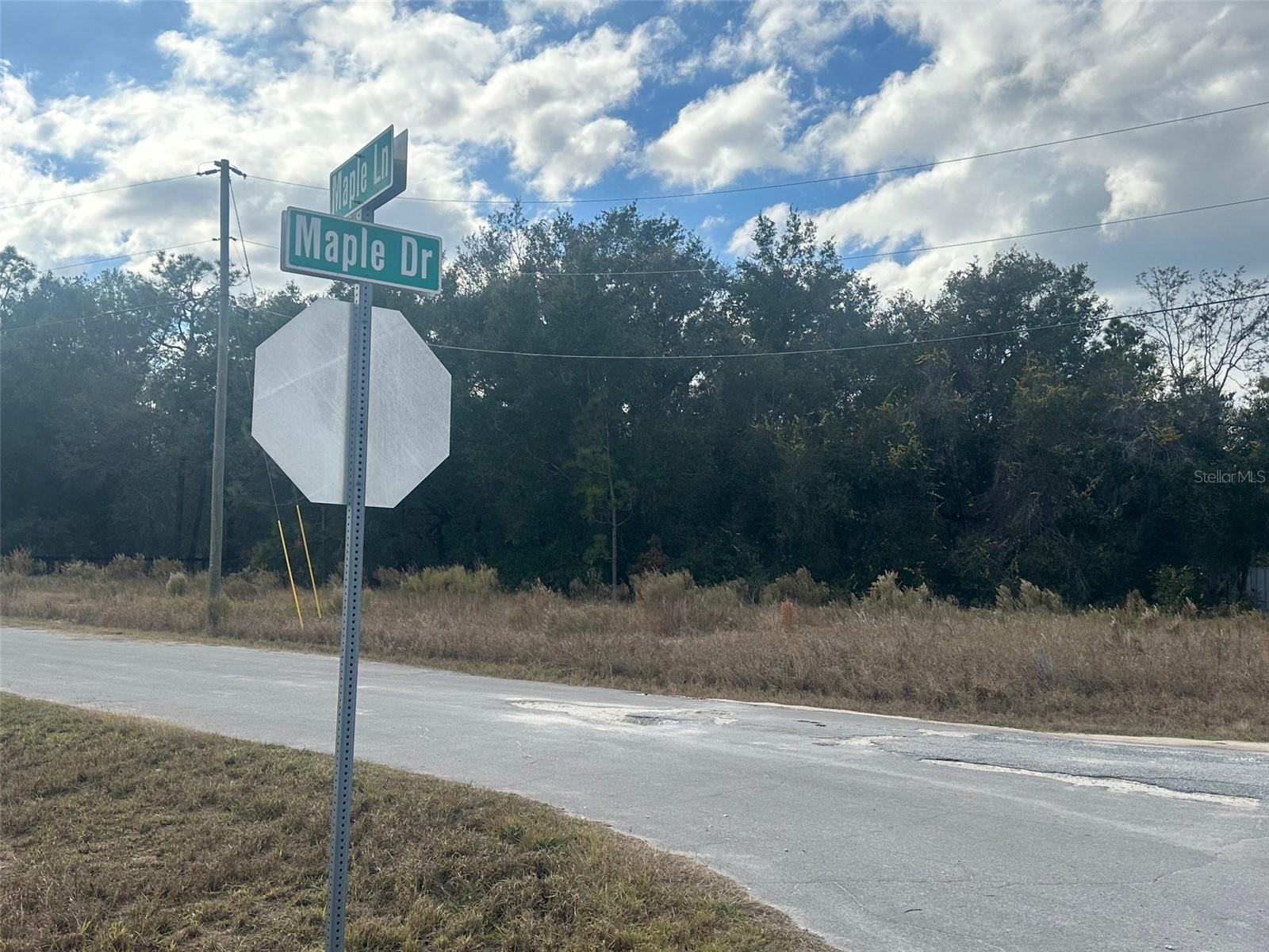 SILVER SPGS SHORES UN 31 - Land