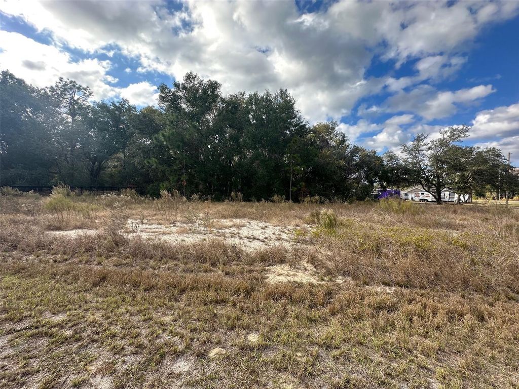 Photo of 00 Maple Lane, Ocklawaha, FL 32179 (MLS # OM715212)