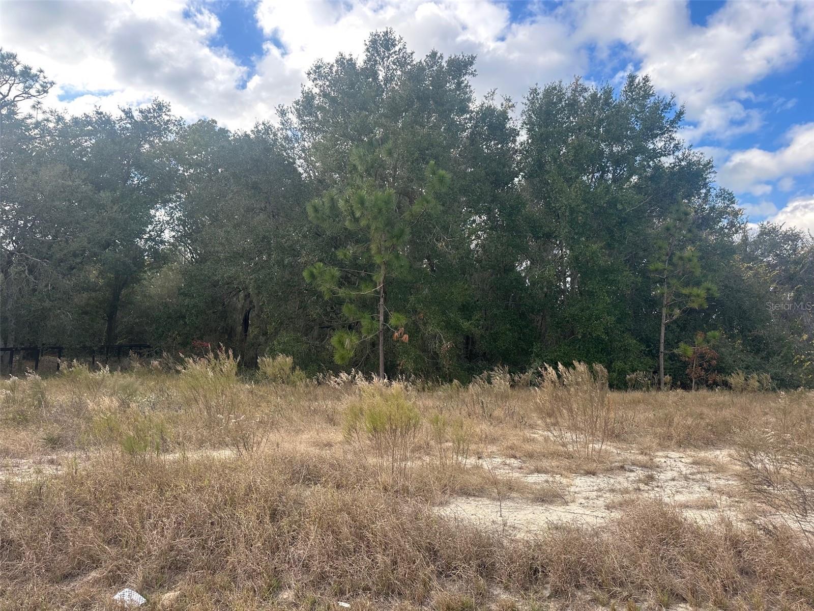 SILVER SPGS SHORES UN 31 - Land