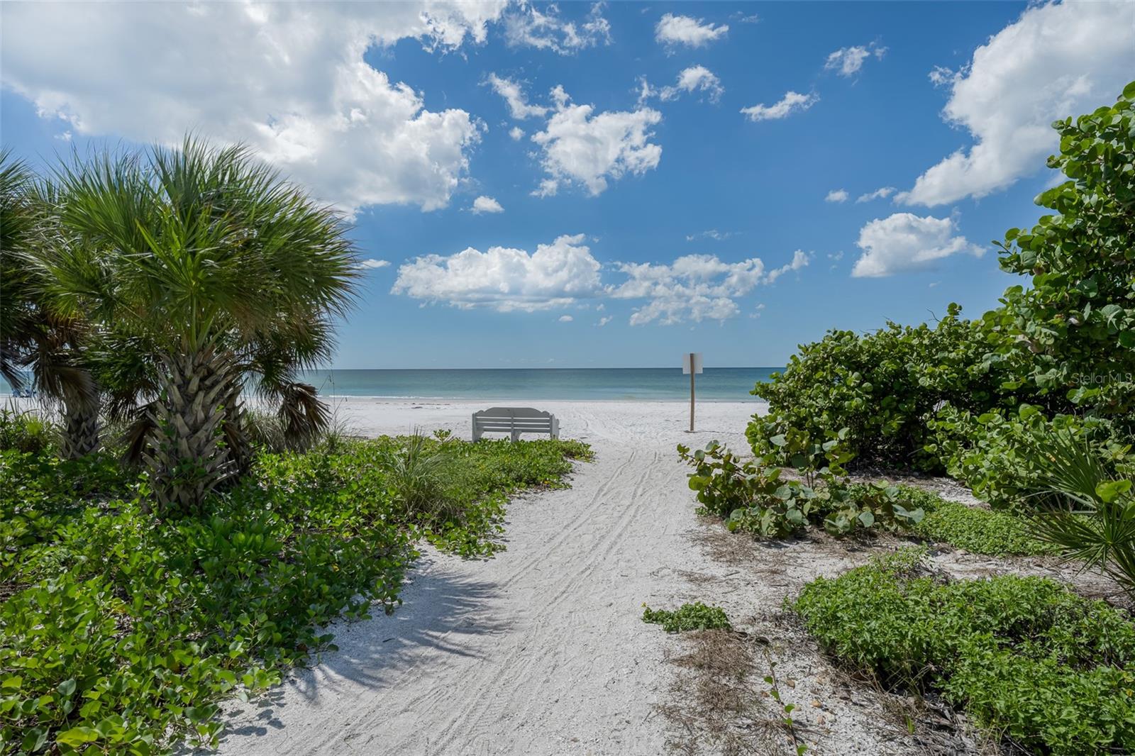 1007 GULF DRIVE N 215