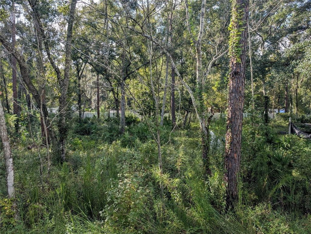 Photo of 0000 Tulane Street, New Port Richey, FL 34653 (MLS # TB8436894)