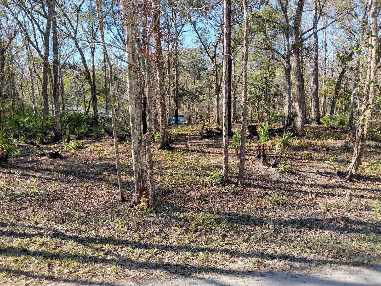 MOON LAKE ESTATES - Land