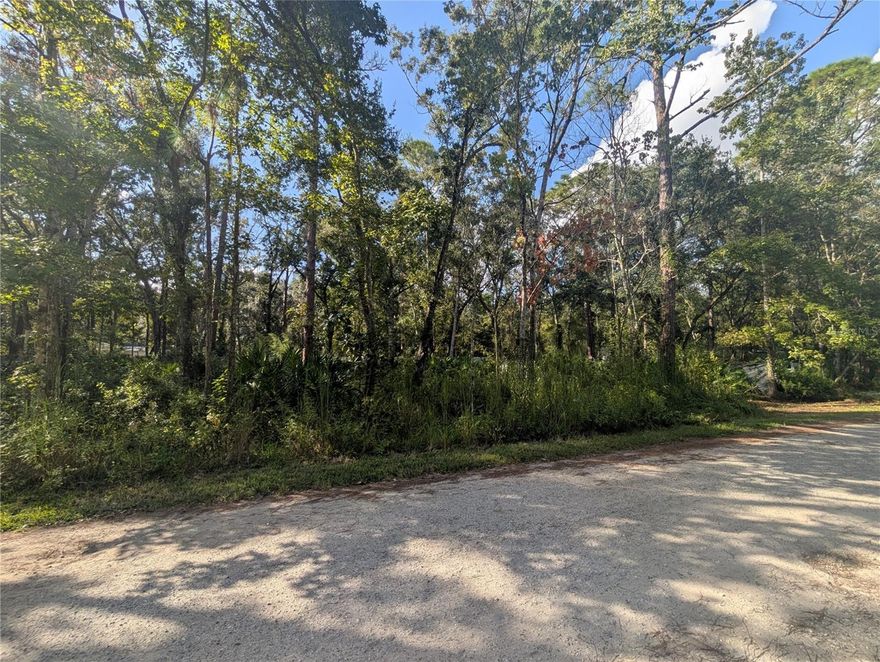 Over a quarter acre of mostly clear, raw land in the heart of Moon Lake! The perfect opportunity to develop in an under-appreciated piece of Pasco County. With very few neighbors and just 3 miles away from the highly-regarded Moon Lake Park, this slice of land is brimming with opportunity. Whether you're an investor or a buyer looking to carve out a life for yourself, you need not look further than here.