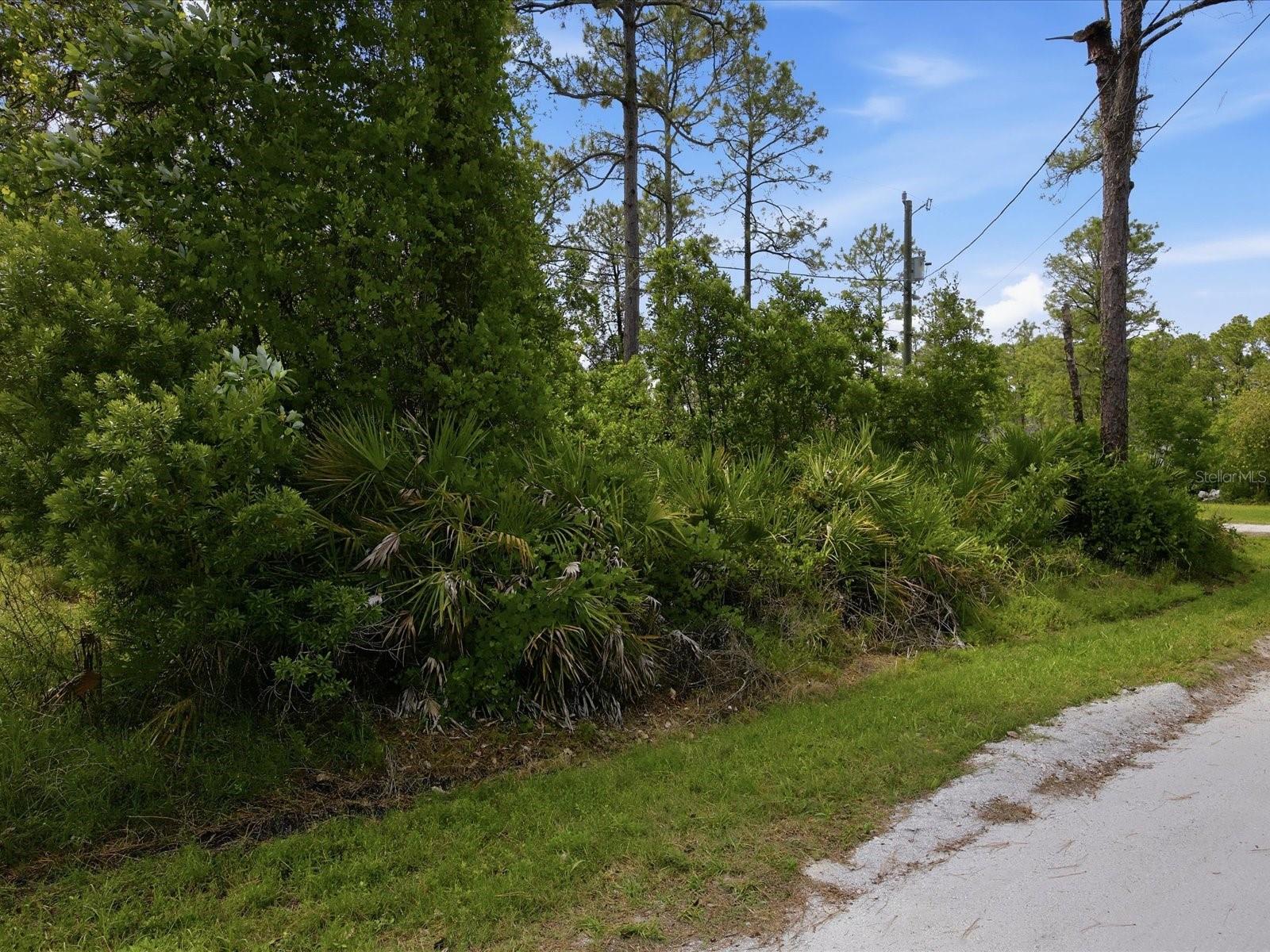 DAYTONA PARK ESTATES SEC E - Land