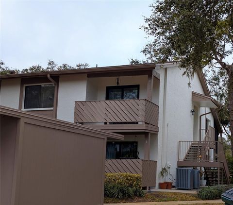 A home in SAFETY HARBOR