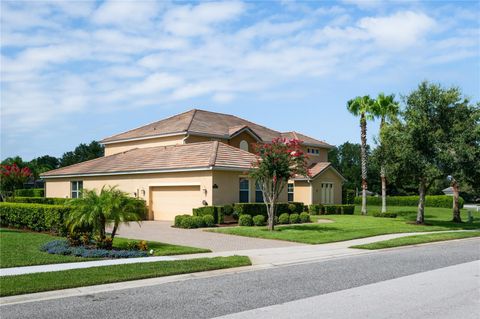 A home in MOUNT DORA