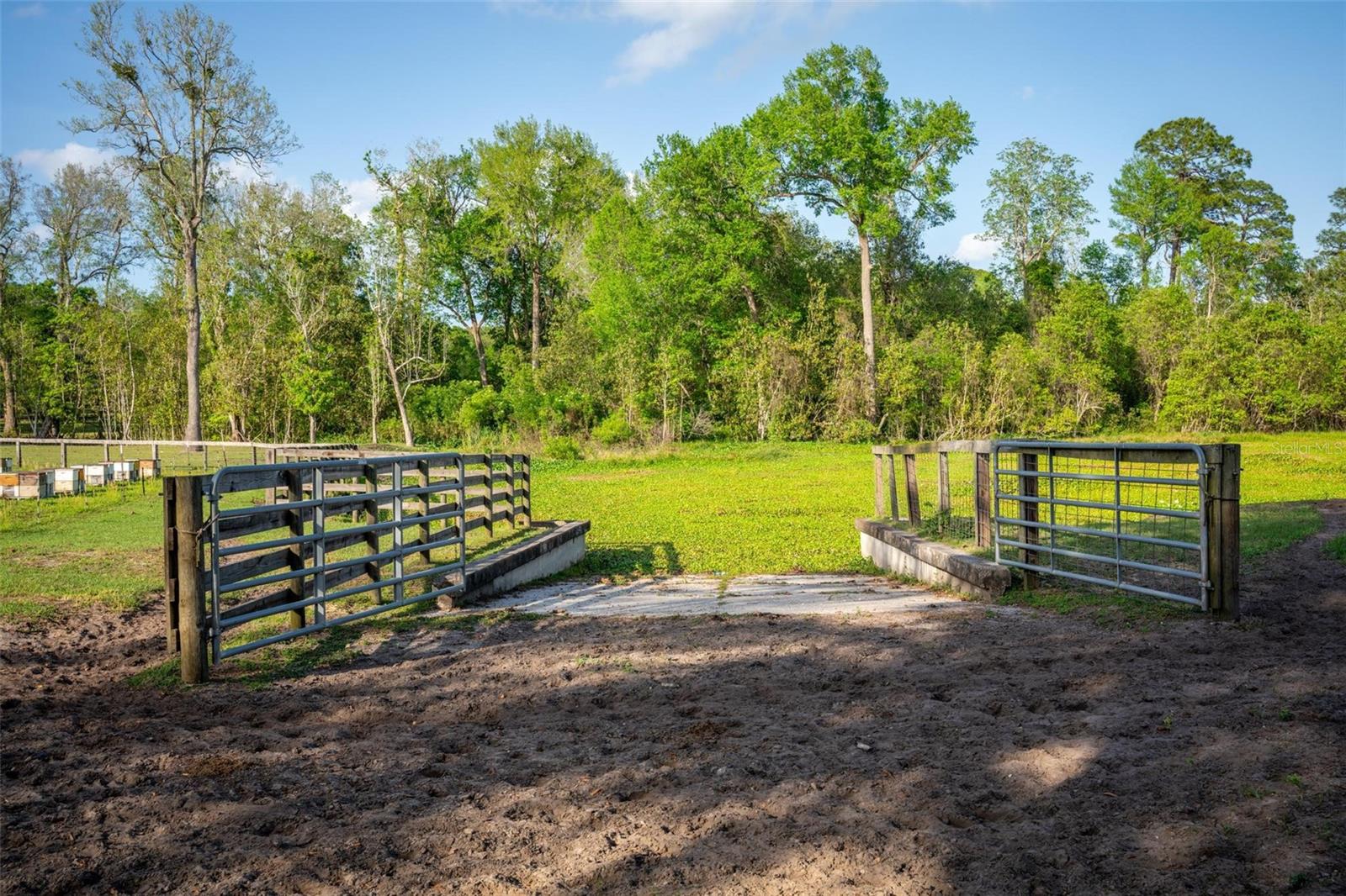ACREAGE & UNREC - Land