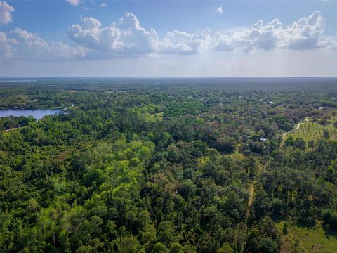 Tiny photo for Fishermans Road, Paisley, FL 32767 (MLS # O6297079)