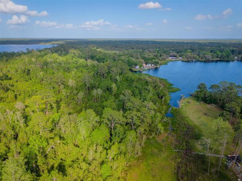 Tiny photo for Fishermans Road, Paisley, FL 32767 (MLS # O6297079)