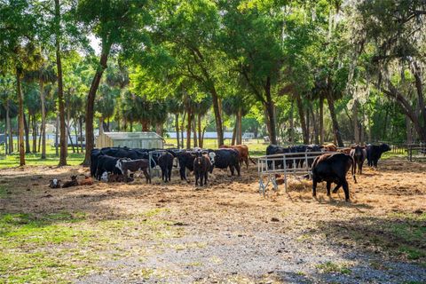 Tiny photo for Fishermans Road, Paisley, FL 32767 (MLS # O6297079)