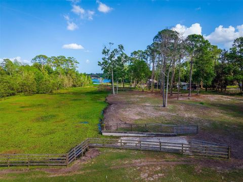 Tiny photo for Fishermans Road, Paisley, FL 32767 (MLS # O6297079)