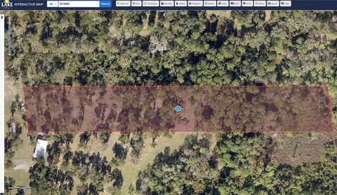 Tiny photo for Fishermans Road, Paisley, FL 32767 (MLS # O6297079)