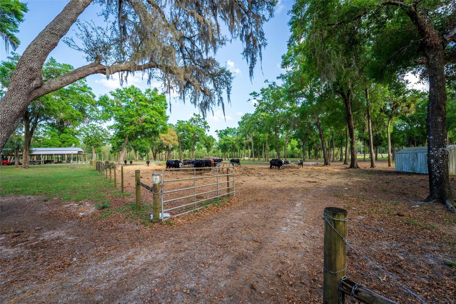 ACREAGE & UNREC - Land