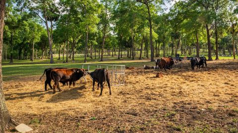 Tiny photo for Fishermans Road, Paisley, FL 32767 (MLS # O6297079)