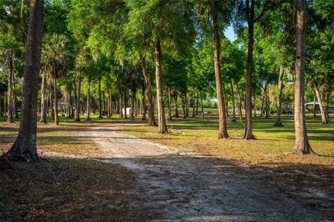 Tiny photo for Fishermans Road, Paisley, FL 32767 (MLS # O6297079)