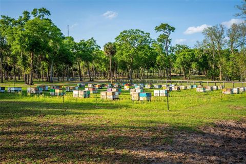 Tiny photo for Fishermans Road, Paisley, FL 32767 (MLS # O6297079)